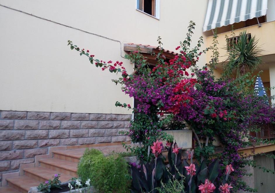 Al 32 Y 3 Bed and Breakfast Αλγκέρο Εξωτερικό φωτογραφία