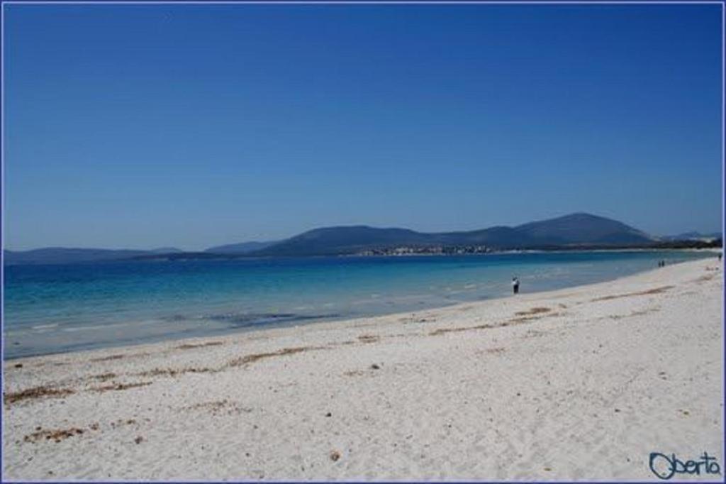 Al 32 Y 3 Bed and Breakfast Αλγκέρο Εξωτερικό φωτογραφία